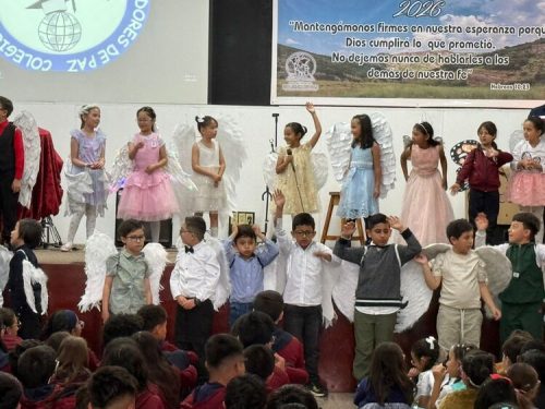izada-primer-trimestre-2026-1