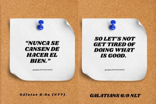 Gálatas 6:9 a (NTV)